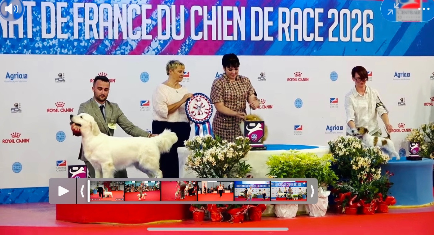 CHAMPIONNAT de FRANCE 2026